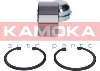 Kamoka 5600047 - Подшипник ступицы колеса, комплект autospares.lv