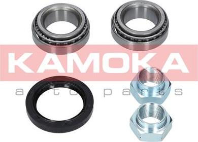 Kamoka 5600010 - Подшипник ступицы колеса, комплект autospares.lv