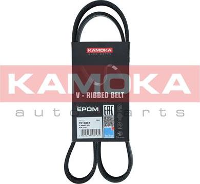 Kamoka 7016061 - Поликлиновой ремень autospares.lv