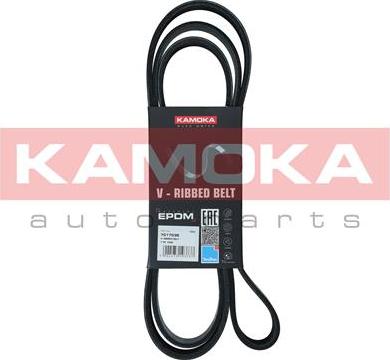 Kamoka 7017036 - Поликлиновой ремень autospares.lv