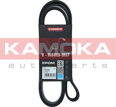 Kamoka 7017021 - Поликлиновой ремень autospares.lv