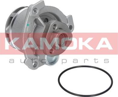 Kamoka T0234 - Водяной насос autospares.lv