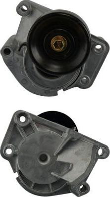 Kavo Parts DTP-9009 - Ролик, поликлиновый ремень autospares.lv