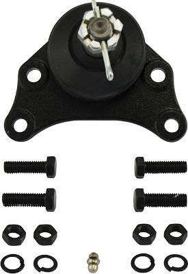 Kavo Parts SBJ-9019 - Шаровая опора, несущий / направляющий шарнир autospares.lv