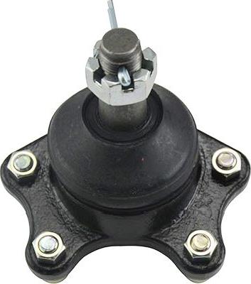 Kavo Parts SBJ-9016 - Шаровая опора, несущий / направляющий шарнир autospares.lv