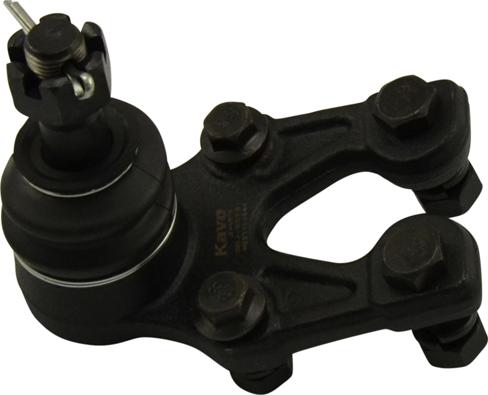 Kavo Parts SBJ-9070 - Шаровая опора, несущий / направляющий шарнир autospares.lv