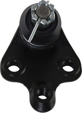 Kavo Parts SBJ-9101 - Шаровая опора, несущий / направляющий шарнир autospares.lv