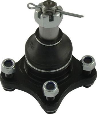 Kavo Parts SBJ-5508 - Шаровая опора, несущий / направляющий шарнир autospares.lv