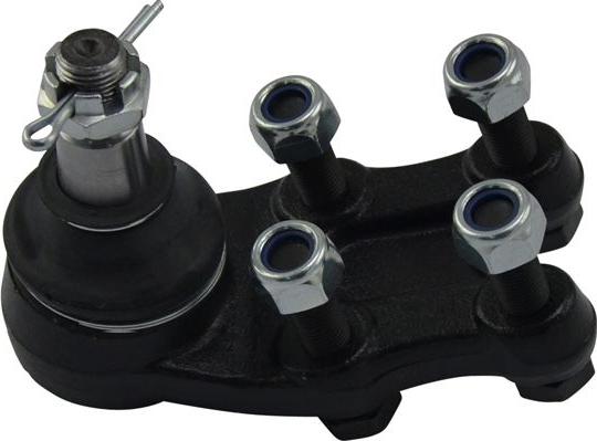 Kavo Parts SBJ-5520 - Шаровая опора, несущий / направляющий шарнир autospares.lv