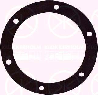 Klokkerholm 50990097 - Прокладка, датчик уровня топлива autospares.lv