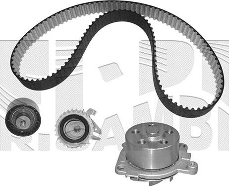 KM International WKFI222 - Водяной насос + комплект зубчатого ремня ГРМ autospares.lv