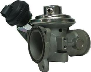 Magneti Marelli 571822112061 - Клапан возврата ОГ autospares.lv