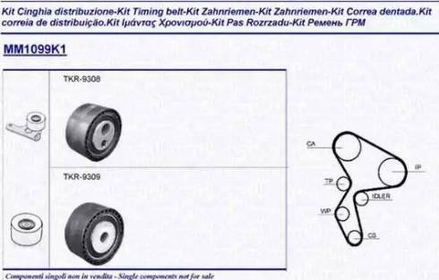 Magneti Marelli 341310991101 - Комплект зубчатого ремня ГРМ autospares.lv