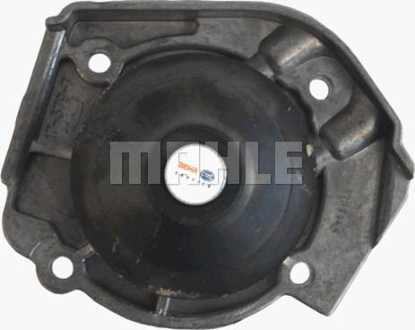 MAHLE CP 35 000P - Водяной насос autospares.lv