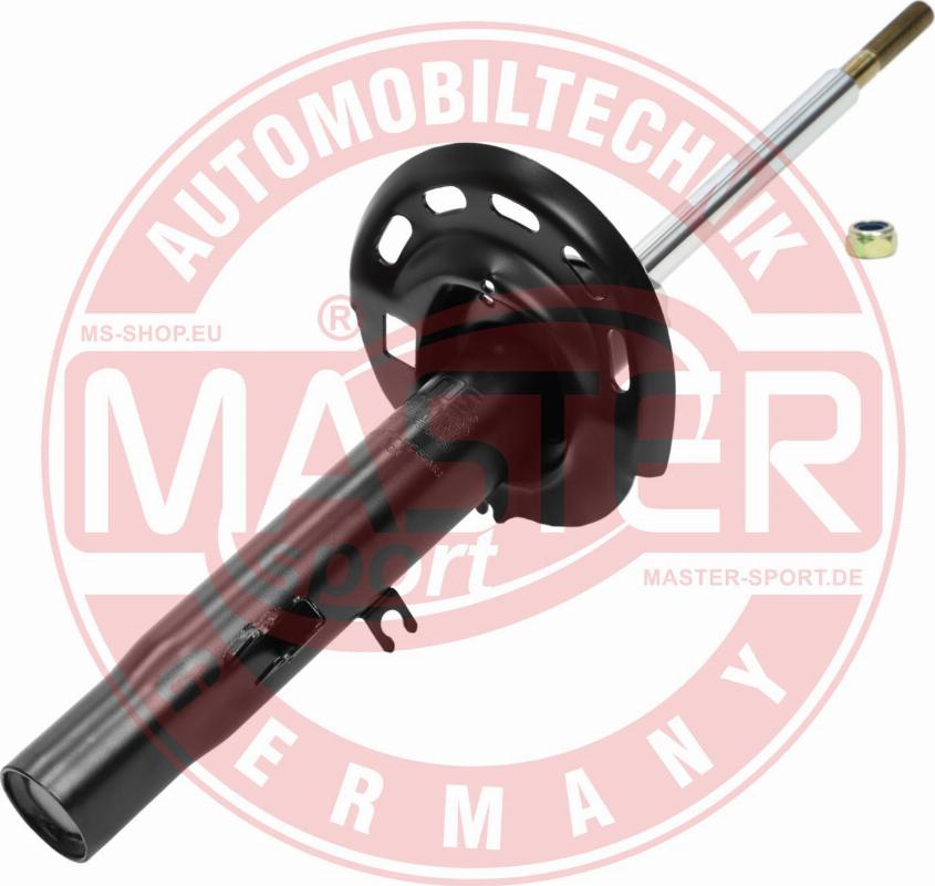 MASTER-SPORT GERMANY 315874-PCS-MS - Амортизатор autospares.lv