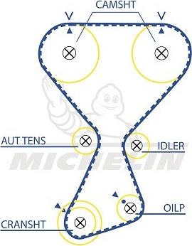 MICHELIN EngineParts SMATB0253 - Зубчатый ремень ГРМ autospares.lv