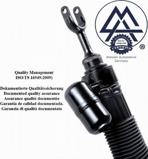 MiesslerAutomotive FBNL-002S-6895 - Опора пневматической рессоры autospares.lv