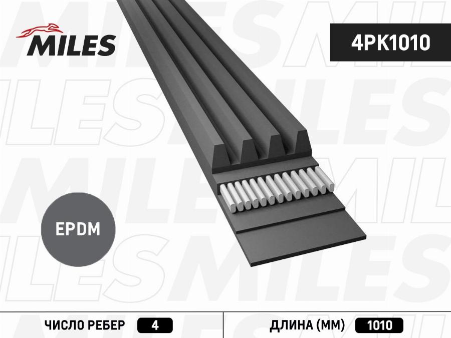 Miles 4PK1010 - Поликлиновой ремень autospares.lv