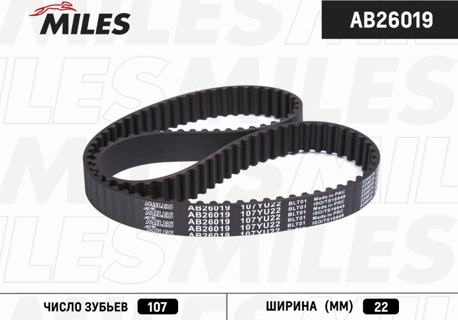 Miles AB26019 - Зубчатый ремень ГРМ autospares.lv