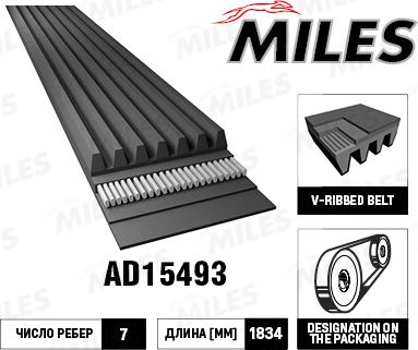 Miles AD15493 - Поликлиновой ремень autospares.lv