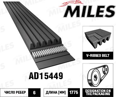 Miles AD15449 - Поликлиновой ремень autospares.lv