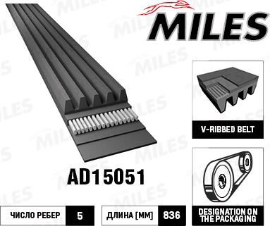 Miles AD15051 - Поликлиновой ремень autospares.lv