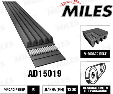 Miles AD15019 - Поликлиновой ремень autospares.lv