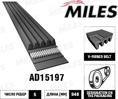 Miles AD15197 - Поликлиновой ремень autospares.lv