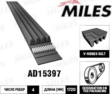 Miles AD15397 - Поликлиновой ремень autospares.lv