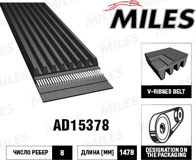 Miles AD15378 - Поликлиновой ремень autospares.lv