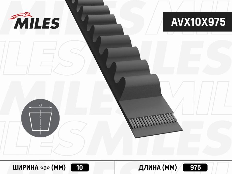 Miles AVX10X975 - Клиновой ремень, поперечные рёбра autospares.lv