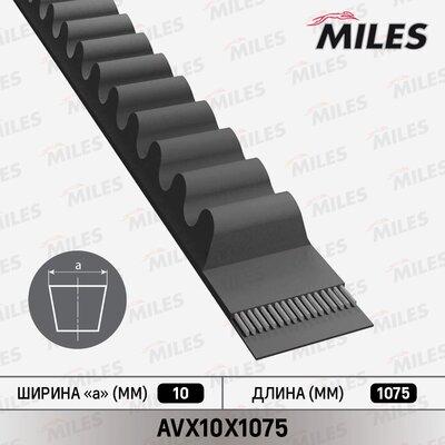 Miles AVX10X1075 - Клиновой ремень, поперечные рёбра autospares.lv