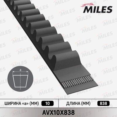Miles AVX10X838 - Клиновой ремень, поперечные рёбра autospares.lv