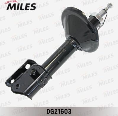 Miles DG21603 - Амортизатор autospares.lv