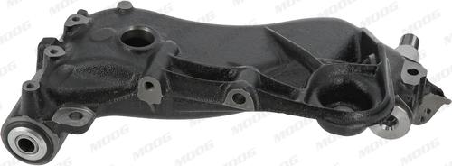 Moog FI-WP-0948 - Рычаг подвески колеса autospares.lv