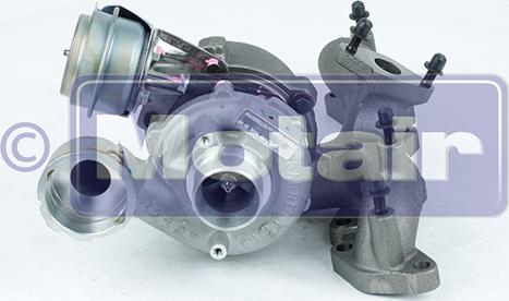 Motair Turbo 102095 - Турбина, компрессор autospares.lv