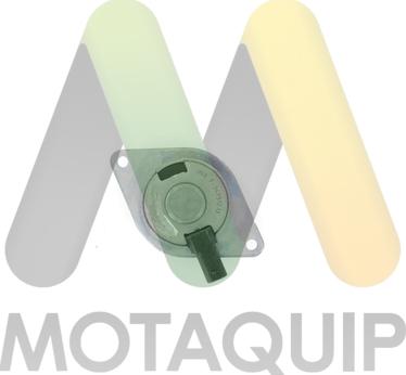Motaquip LVEP174 - Регулирующий клапан, выставление распределительного вала autospares.lv