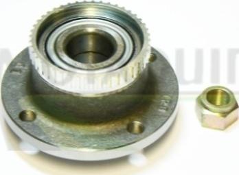 Motaquip VBK451 - Подшипник ступицы колеса, комплект autospares.lv