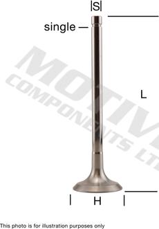 MOTIVE IV6117 - Впускной клапан autospares.lv