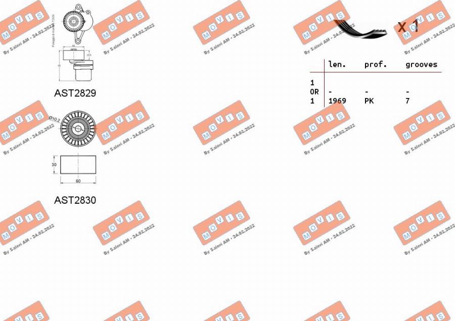 MOVIS ASTA0136 - Поликлиновый ременный комплект autospares.lv