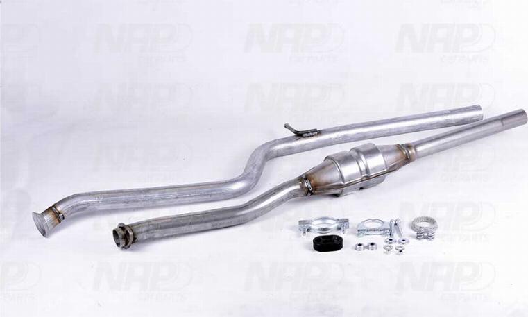 NAP CAK10141 - Катализатор autospares.lv