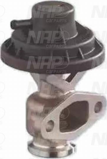 NAP CAV10090 - Клапан возврата ОГ autospares.lv
