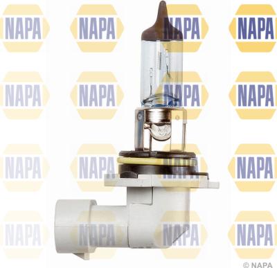 NAPA NBU19006 - Лампа накаливания, основная фара autospares.lv