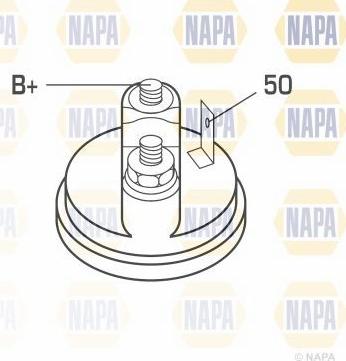 NAPA NSM1251 - Стартер autospares.lv