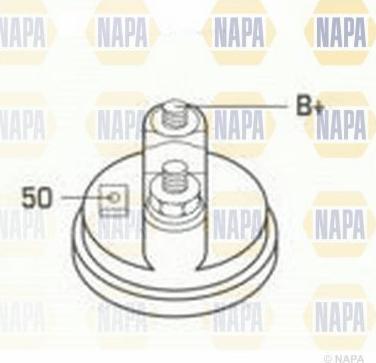 NAPA NSM1245 - Стартер autospares.lv