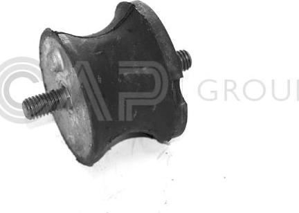 OCAP 1225101 - Подушка, опора, подвеска двигателя autospares.lv