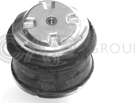 OCAP 1225315 - Подушка, опора, подвеска двигателя autospares.lv