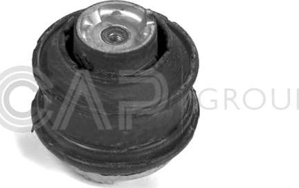 OCAP 1225310 - Подушка, опора, подвеска двигателя autospares.lv