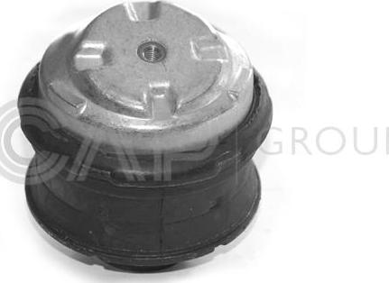 OCAP 1225312 - Подушка, опора, подвеска двигателя autospares.lv