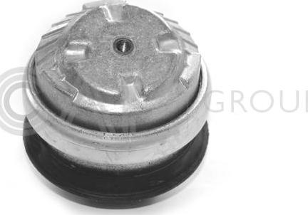 OCAP 1225299 - Подушка, опора, подвеска двигателя autospares.lv